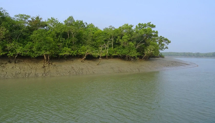 sundarban-national-park-safari-tour