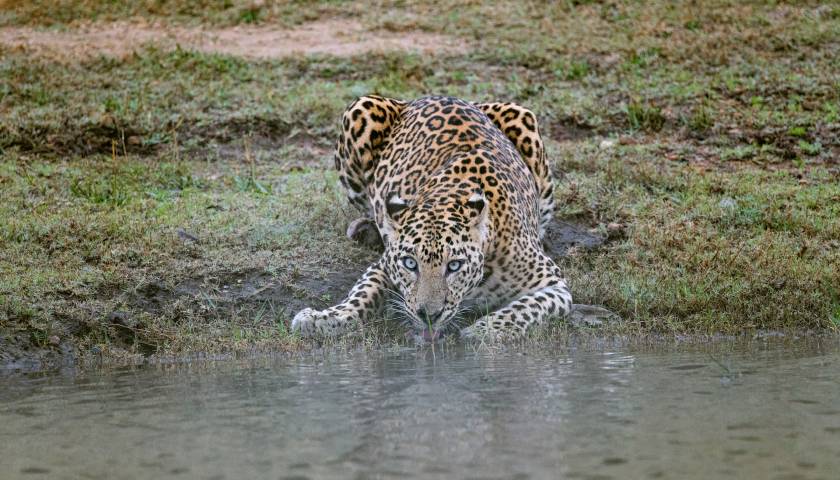 kabini-wildlife-sanctuary-karnataka