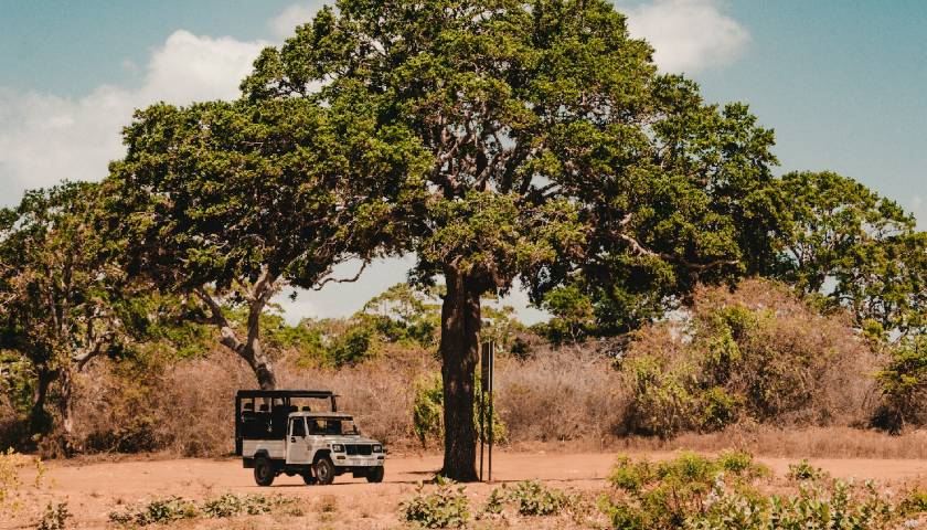 yala-national-park-sri-lanka-wildlife-tour