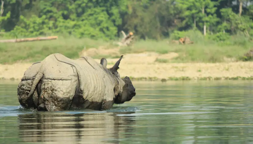 nepal-wildlife-tour-package