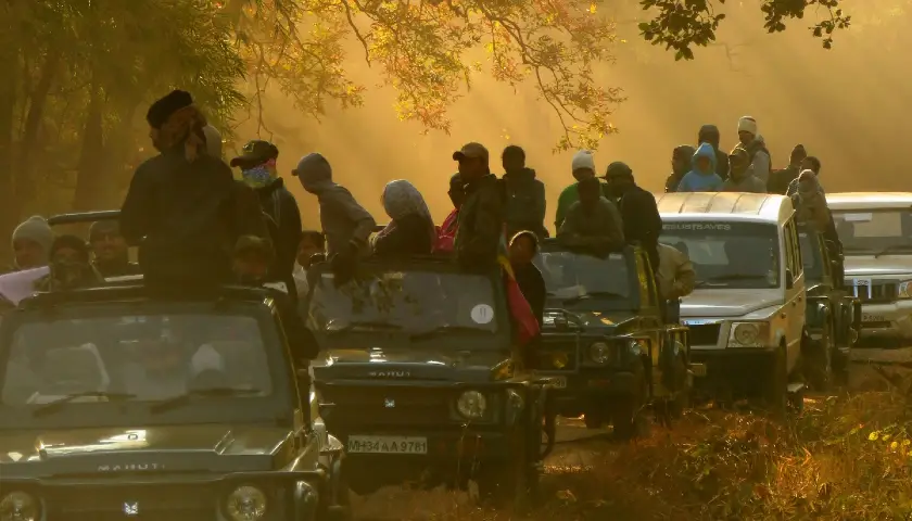 tourist-attractions-in-tadoba-andhari-national-park